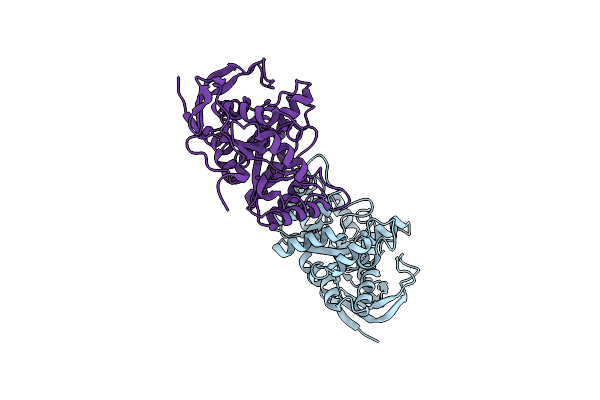 5NNL image