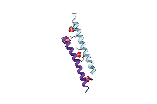 5NNM image