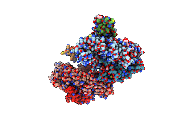 5NNP image