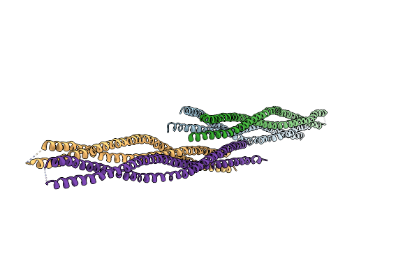 5NNV image
