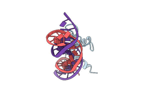 5NNX image