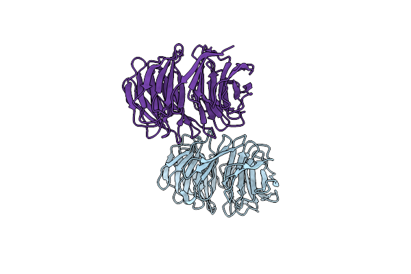 5NNZ image