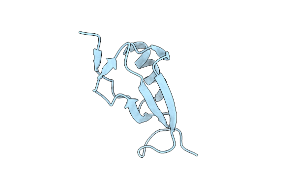 5NOD image