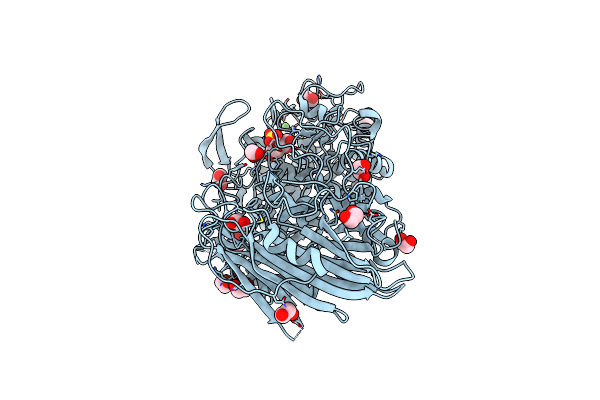 5NPF image