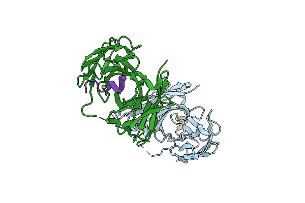 5NPI image