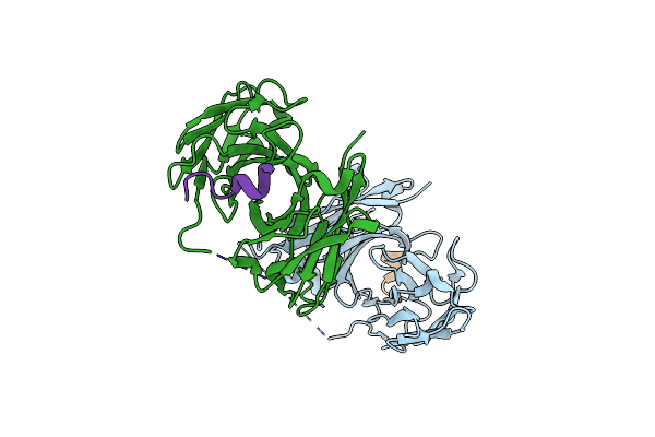 5NPJ image