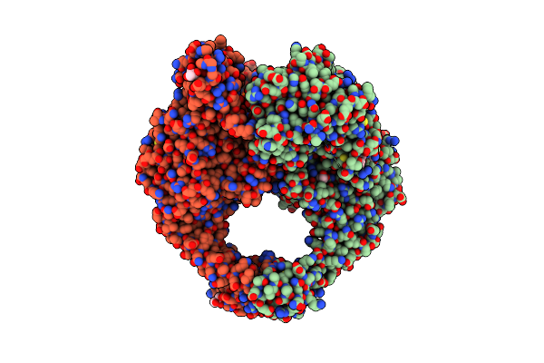 5NPP image
