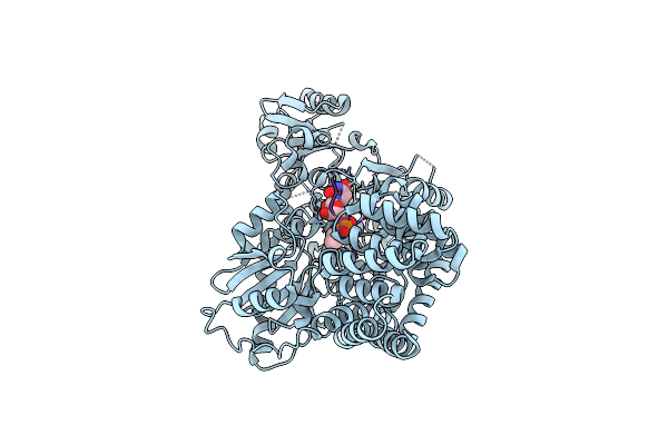 5NPS image
