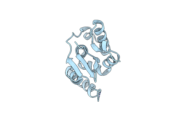 5NPT image