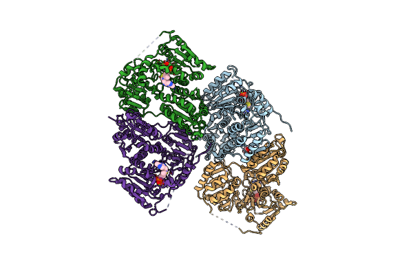 5NPU image