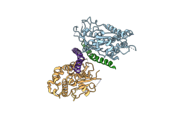 5NPV image