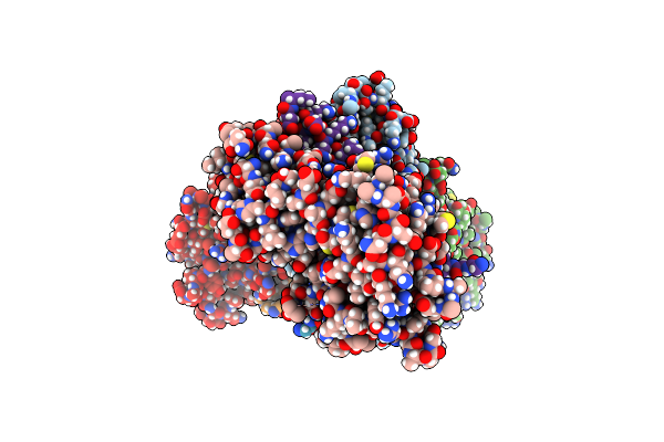5NPW image