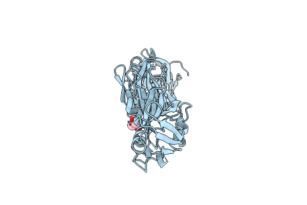 5NPY image