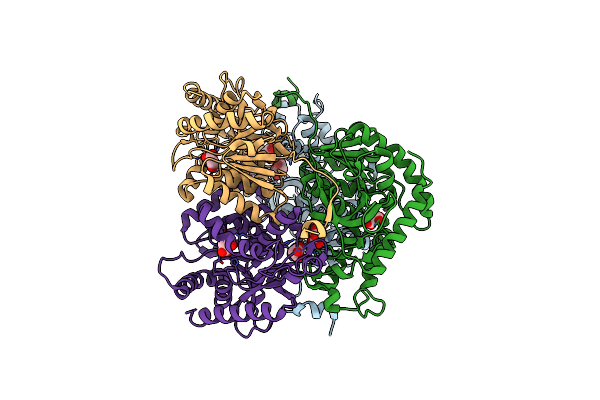 5NQB image