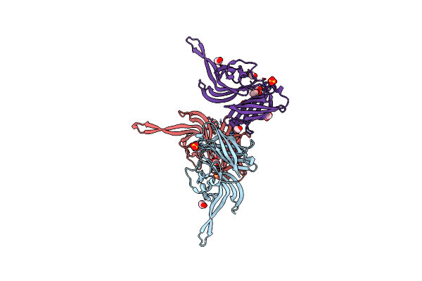 5NQP image