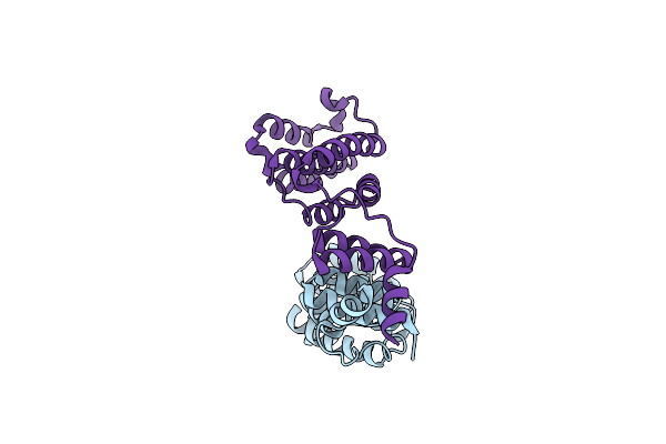 5NQS image