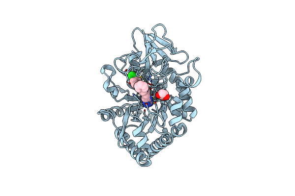 5NRF image