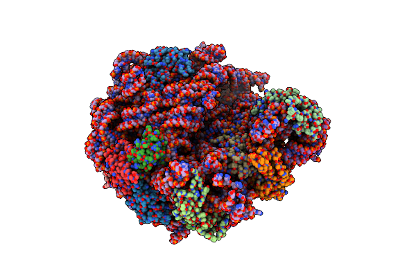 5NRG image