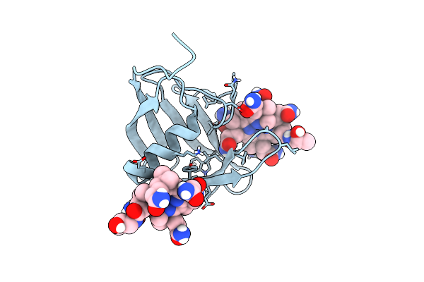 5NRP image