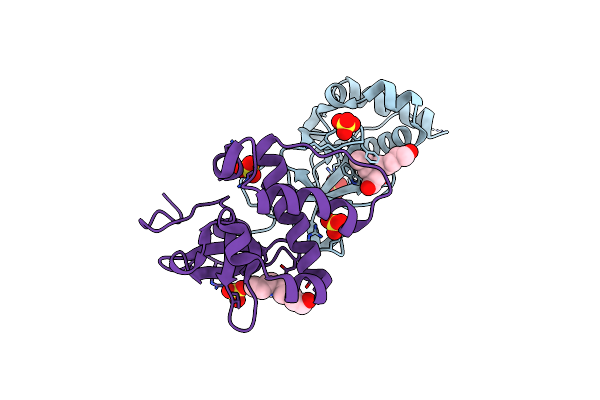 5NRR image