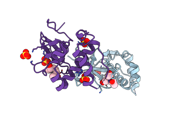 5NRS image