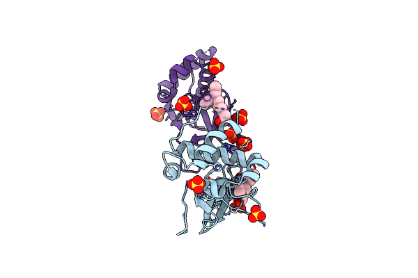 5NRV image