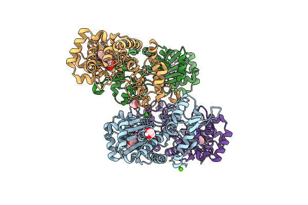 5NSF image