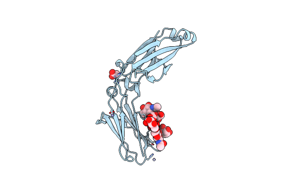5NSG image
