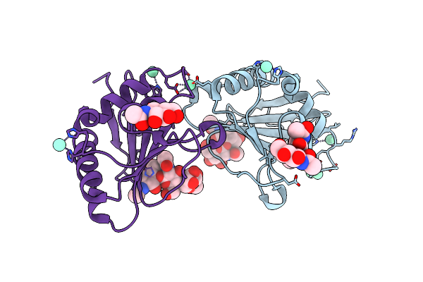 5NSJ image