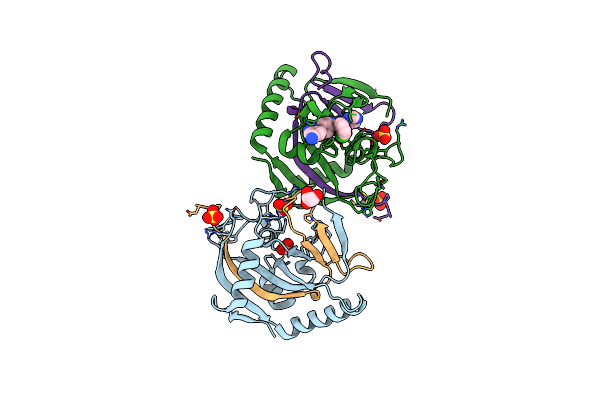 5NSP image