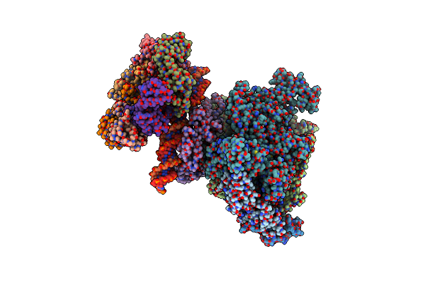 5NSS image