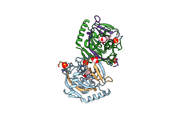5NT4 image