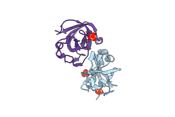 5NTB image