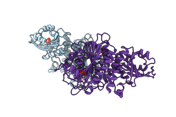 5NTF image