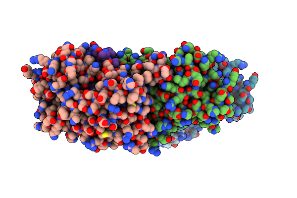 5NTI image