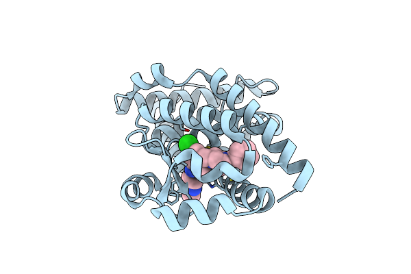 5NTP image