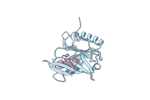 5NU7 image