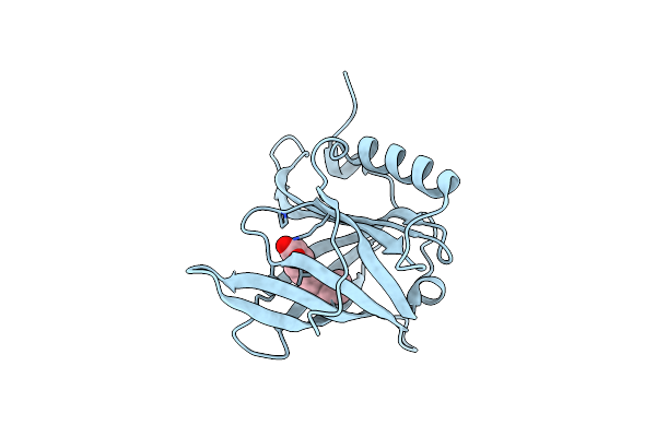 5NUA image