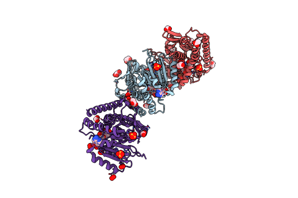 5NUE image