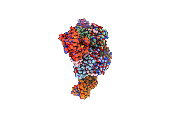 5NUP image
