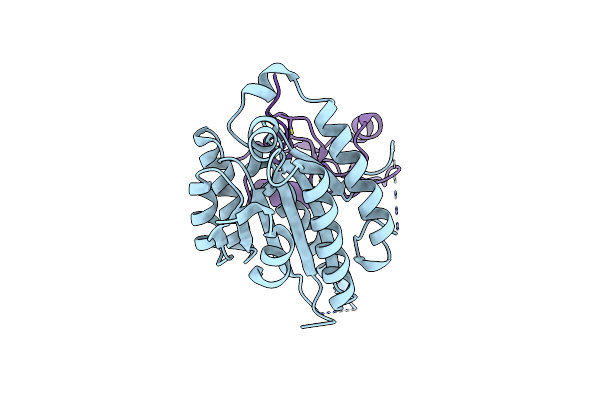 5NUS image