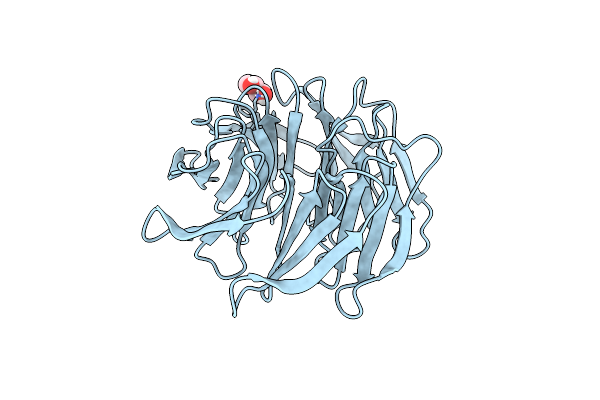 5NUV image