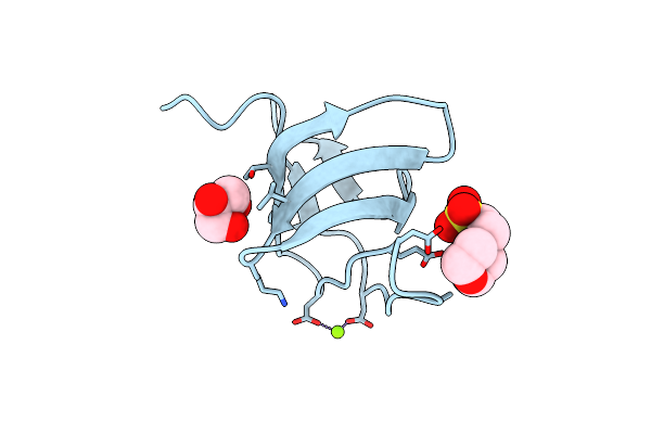 5NV1 image