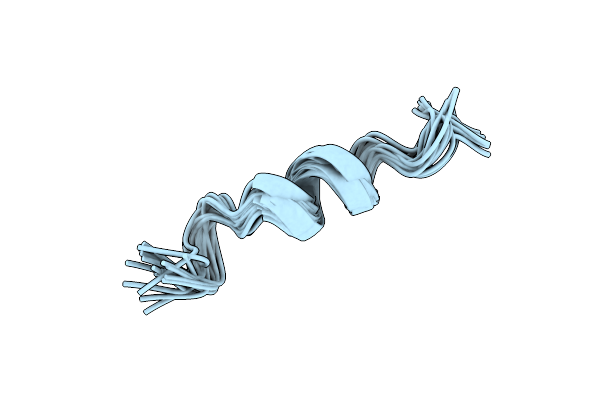 5NVB image
