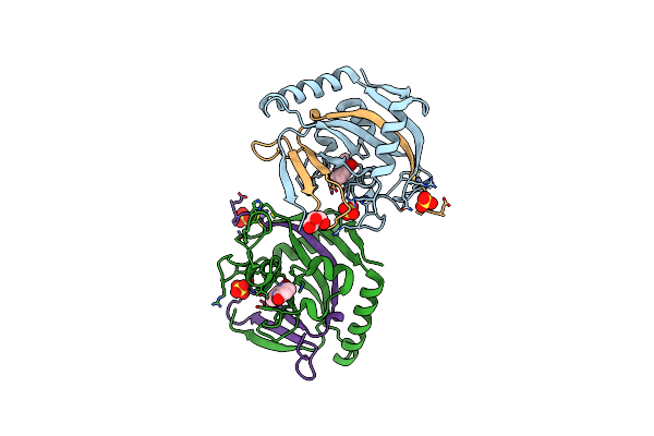 5NVC image