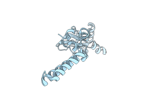 5NVD image