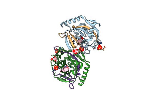 5NVE image