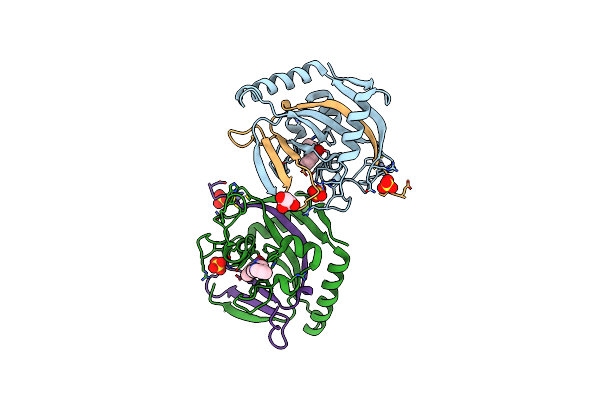 5NVF image