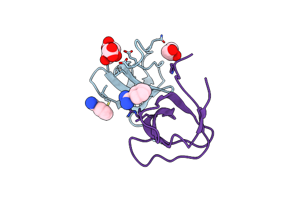 5NVJ image