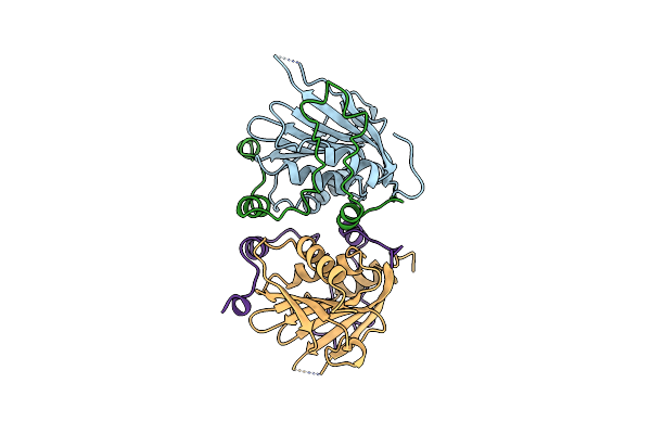 5NVL image